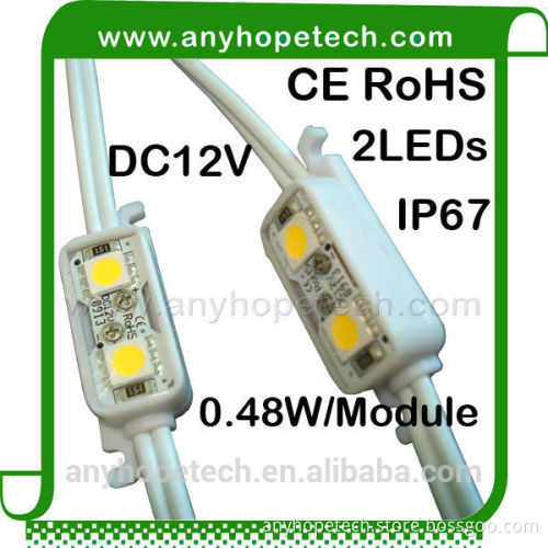 Ultra bright 0.48w 2LEDs waterproof led pixel light